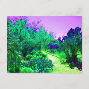 Arizona-Kaktus-Pfad Postkarte