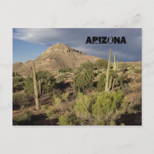 Arizona Landschaftliche Postkarte (Vorderseite)