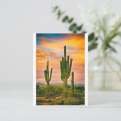 Arizona Life Postkarte (Stehend Vorderseite)