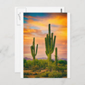 Arizona Life Postkarte (Vorne/Hinten)