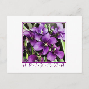 Arizona lila Blume Postkarte