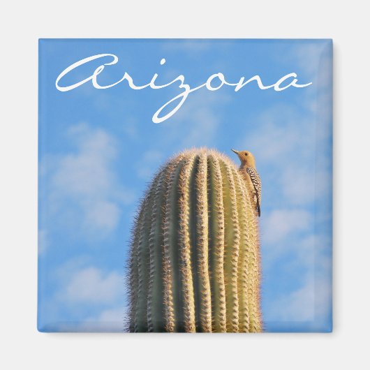Arizona Magnet (Vorne)