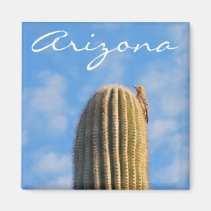 Arizona-Magnet Magnet
