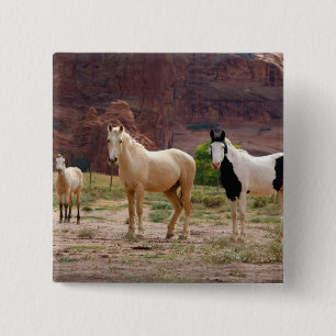 Arizona, Navajo Indian Reservation, Chinle, Button