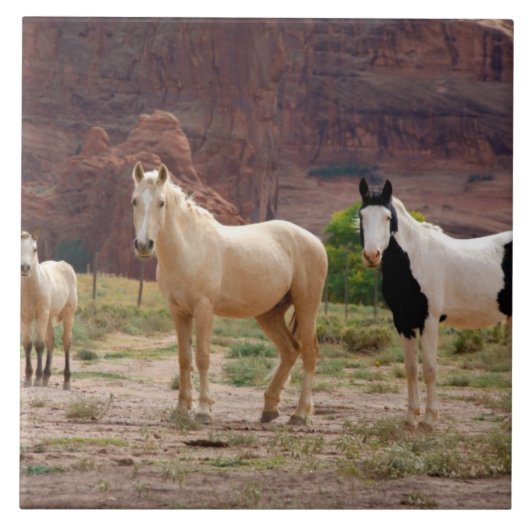 Arizona, Navajo Indian Reservation, Chinle, Fliese (Vorderseite)