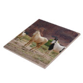 Arizona, Navajo Indian Reservation, Chinle, Fliese (Seite)