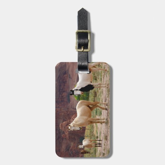 Arizona, Navajo Indian Reservation, Chinle, Gepäckanhänger (Vorderseite vertikal)