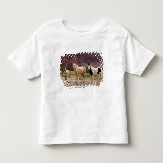 Arizona, Navajo Indian Reservation, Chinle, Kleinkind T-shirt (Vorderseite)