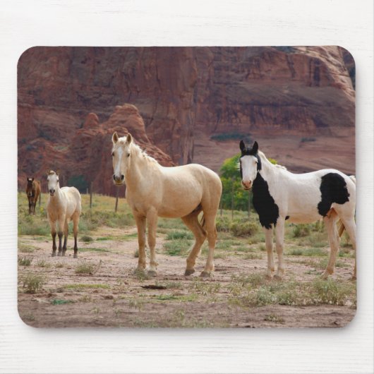Arizona, Navajo Indian Reservation, Chinle, Mousepad (Vorne)