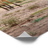 Arizona, Navajo Indian Reservation, Chinle, Poster (Ecke)