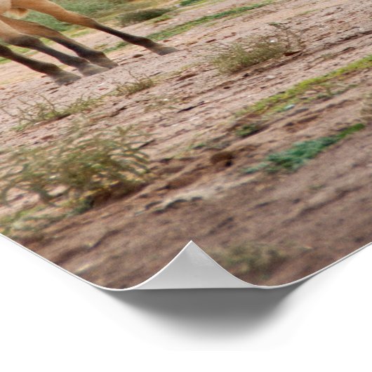 Arizona, Navajo Indian Reservation, Chinle, Poster (Ecke)