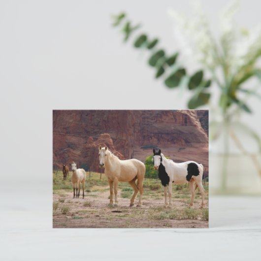 Arizona, Navajo Indian Reservation, Chinle, Postkarte (Stehend Vorderseite)