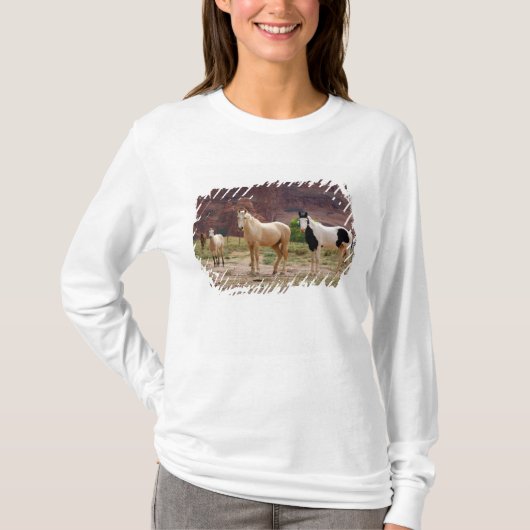 Arizona, Navajo Indian Reservation, Chinle, T-Shirt (Vorderseite)