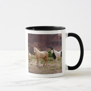 Arizona, Navajo Indian Reservation, Chinle, Tasse