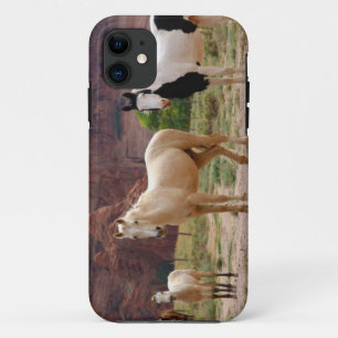 Arizona, Navajo-Indianerreservat, Chinle, Case-Mate iPhone Hülle