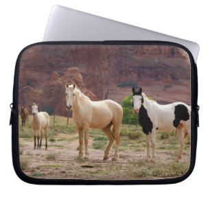 Arizona, Navajo-Indianerreservat, Chinle, Laptopschutzhülle