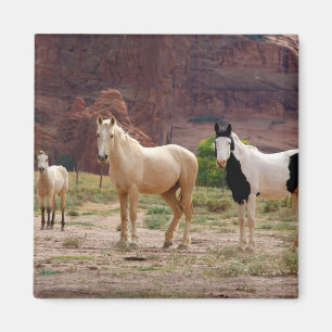 Arizona, Navajo-Indianerreservat, Chinle, Magnet