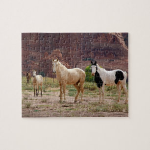 Arizona, Navajo-Indianerreservat, Chinle, Puzzle