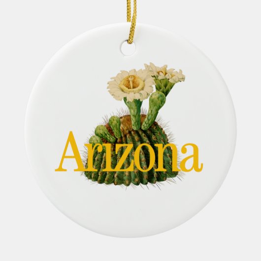 Arizona-Ornament mit Saguaro Cactus Keramik Ornament (Vorne)