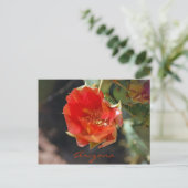 Arizona Postcard Postkarte (Stehend Vorderseite)