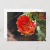 Arizona Postcard Postkarte (Vorne/Hinten)