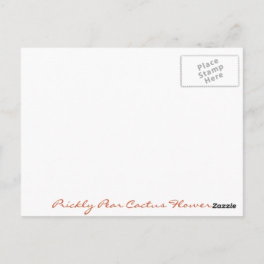 Arizona Postcard Postkarte (Rückseite)