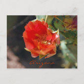 Arizona Postcard Postkarte (Vorderseite)