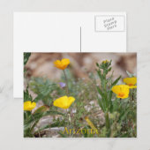 Arizona Postcard Postkarte (Vorne/Hinten)