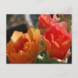 Arizona Postcard Postkarte