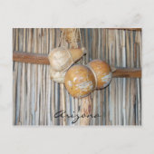 Arizona Postcard Postkarte (Vorderseite)