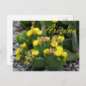 Arizona Postcard, Prickly Pear Cactus Postkarte (Vorne/Hinten)