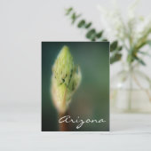 Arizona Postcard Spring Bud Template Postkarte (Stehend Vorderseite)