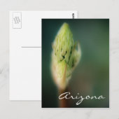 Arizona Postcard Spring Bud Template Postkarte (Vorne/Hinten)