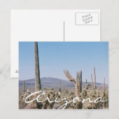 Arizona Postcard Wüste Cacti Landschaft Postkarte (Vorne/Hinten)