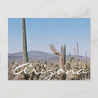 Arizona Postcard Wüste Cacti Landschaft Postkarte