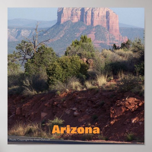 Arizona Poster (Vorne)