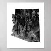 Arizona Poster (Vorne)