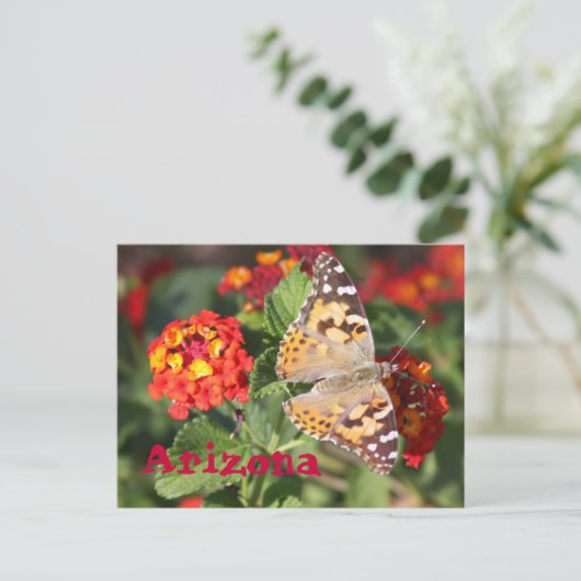 Arizona Postkarte (Stehend Vorderseite)