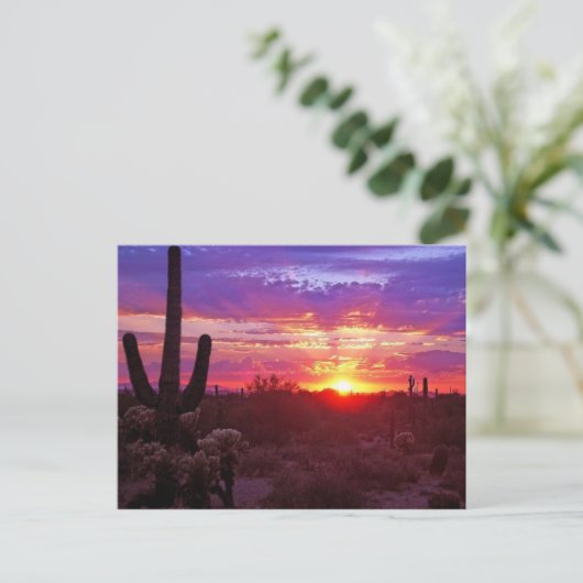 Arizona Postkarte (Stehend Vorderseite)