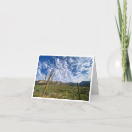 Arizona Postkarte 10