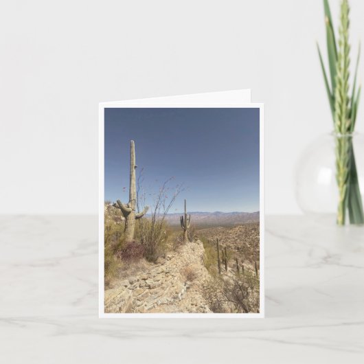 Arizona Postkarte 3 (Vorderseite)