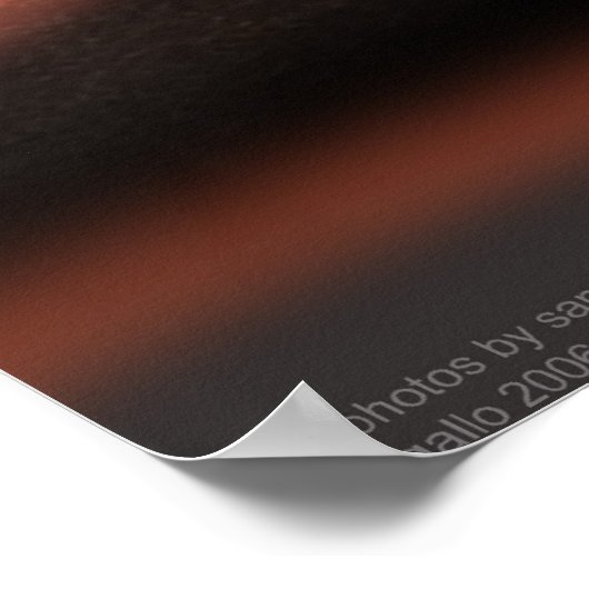 Arizona Raven Poster (Ecke)