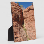 Arizona Red Rocks Landscape Foto Fotoplatte (Seite)