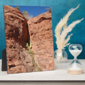 Arizona Red Rocks Landscape Foto Fotoplatte (Seite)