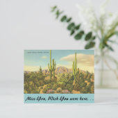 Arizona, Riesenkaktus Postkarte (Stehend Vorderseite)