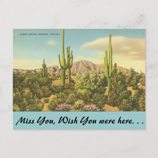Arizona, Riesenkaktus Postkarte (Vorderseite)