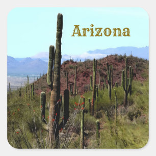 Arizona Saguaro Berglandschaft  Quadratischer Aufkleber