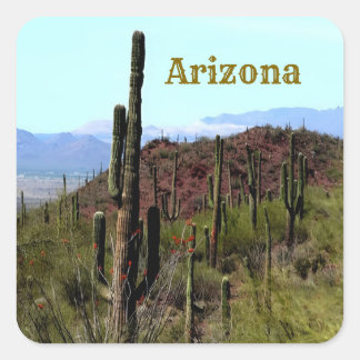 Arizona Saguaro Berglandschaft  Quadratischer Aufkleber