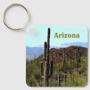 Arizona Saguaro Berglandschaft  Schlüsselanhänger