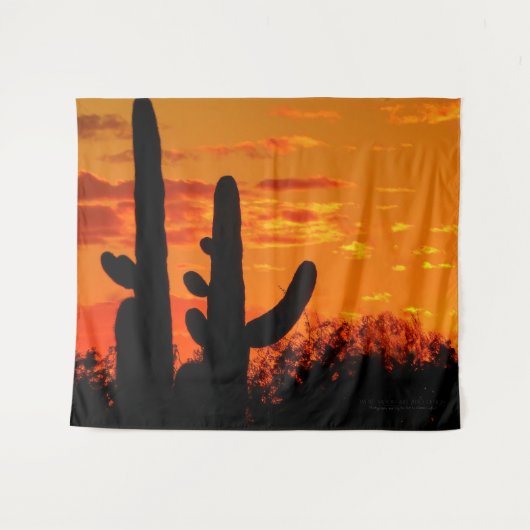 Arizona Saguaro Cacti mit leuchtend orangefarbenem Wandteppich (Vorderseite (Horizontal))